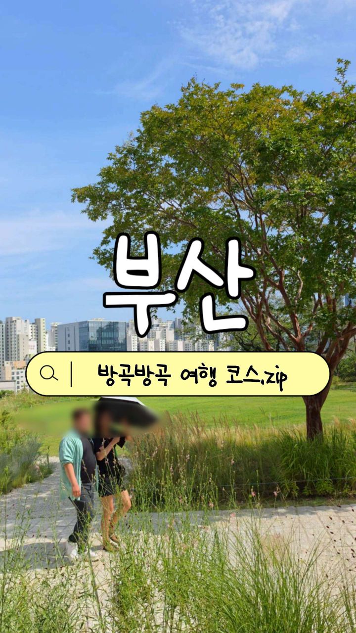 Busan's Top Attractions: Markets, Beaches, and Towers