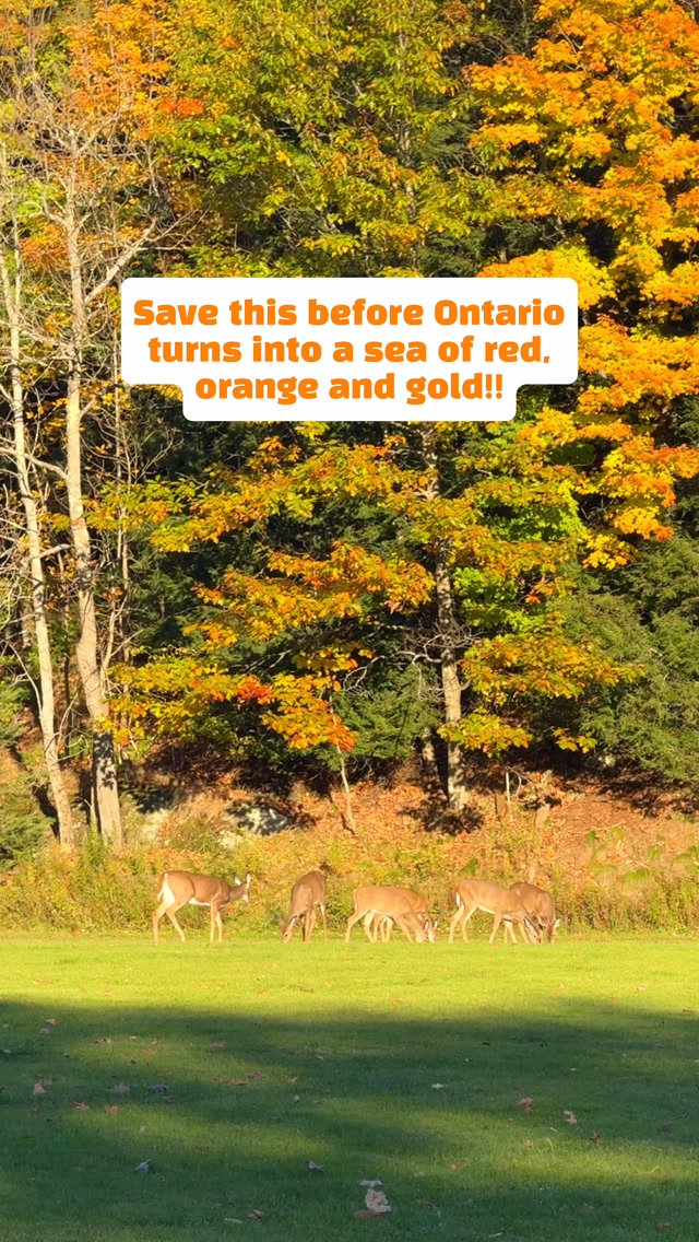 Ontario's Top 12 Fall Colour Destinations