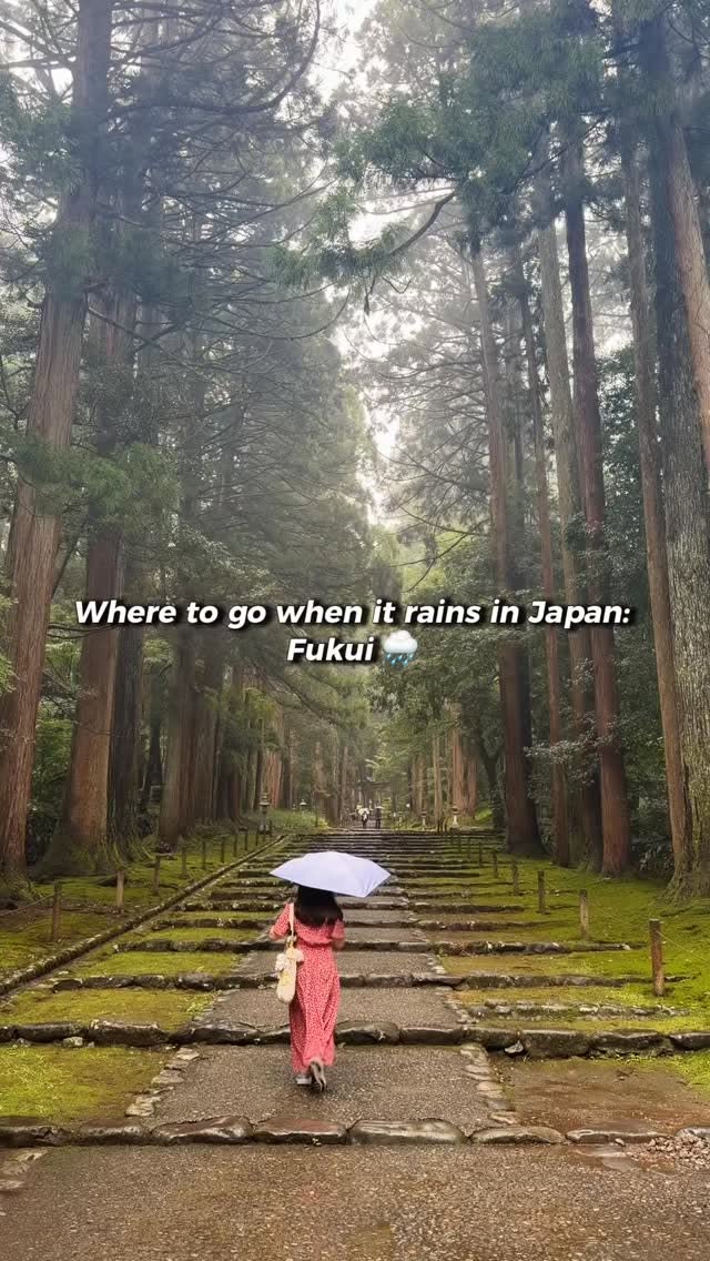 Fukui's Rainy Day Attractions