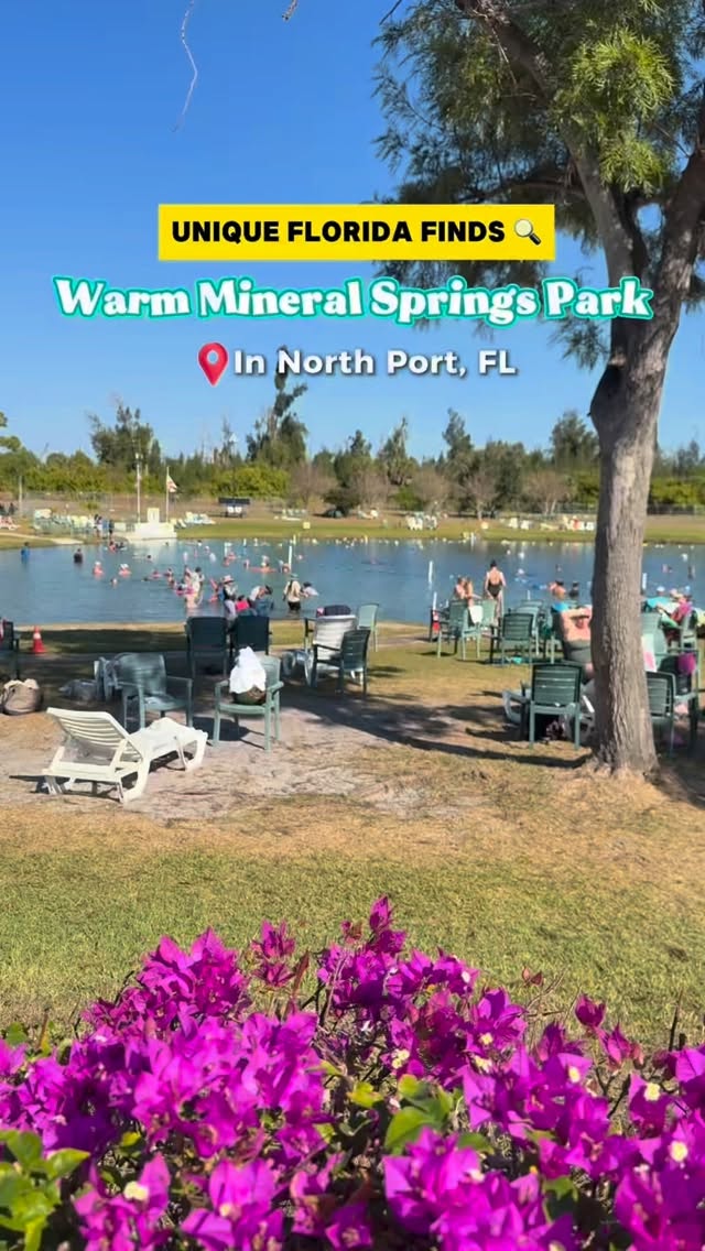 Warm Mineral Springs Park Offers Year-Round Warmth