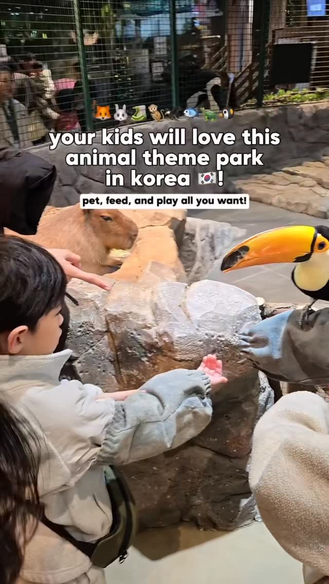 Indoor Animal Theme Parks For Families