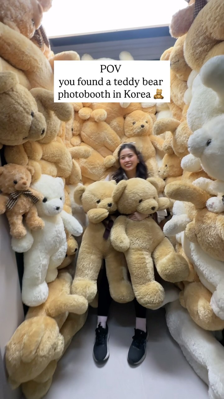 Teddy Bear Photo Booth Experience In Seoul