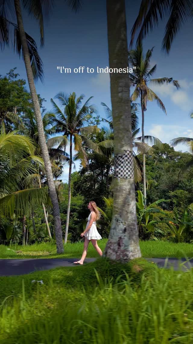 Indonesia's Diverse Wonders Beyond Bali