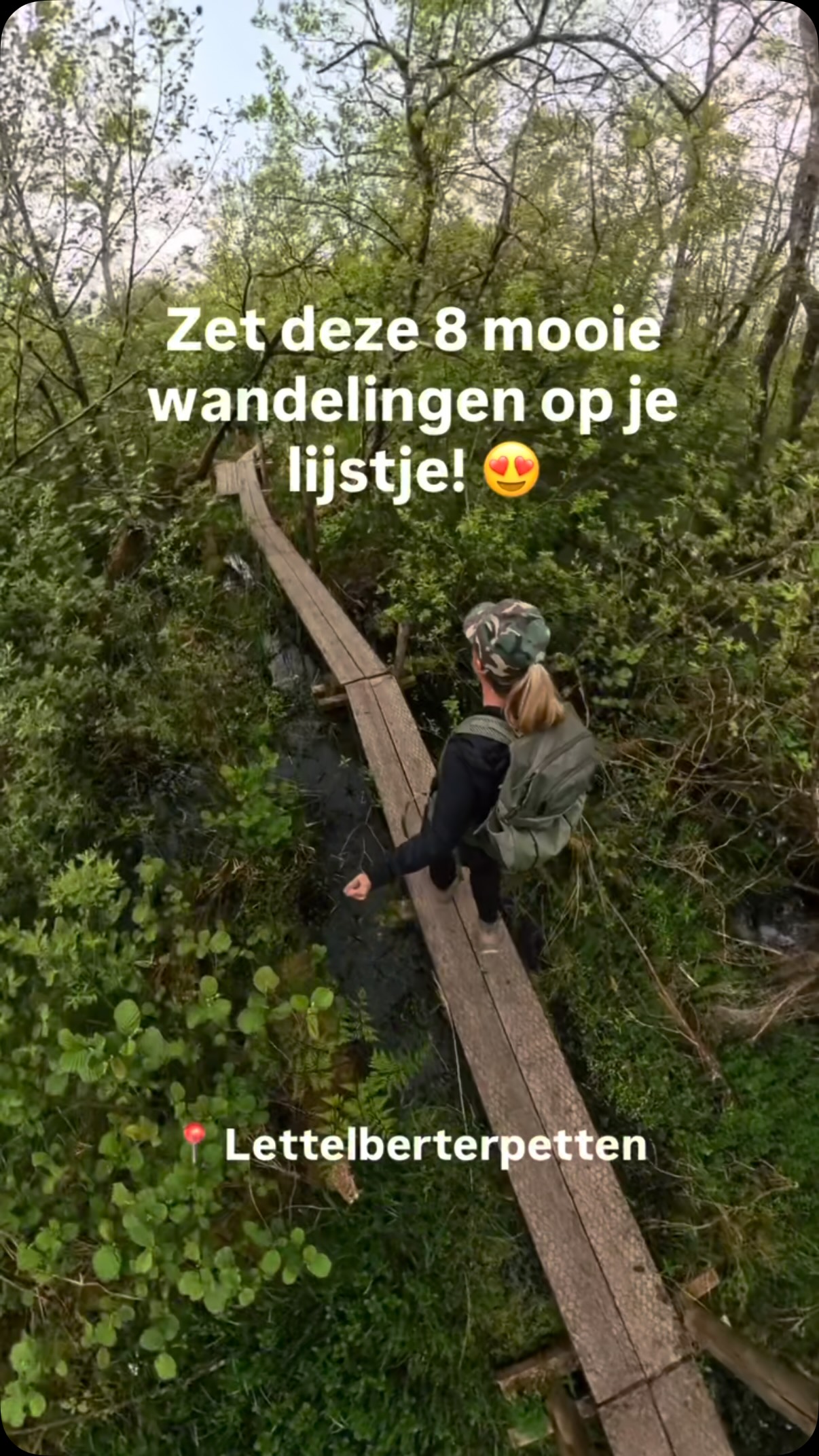Eight Beautiful Nature Walks Across The Netherlands