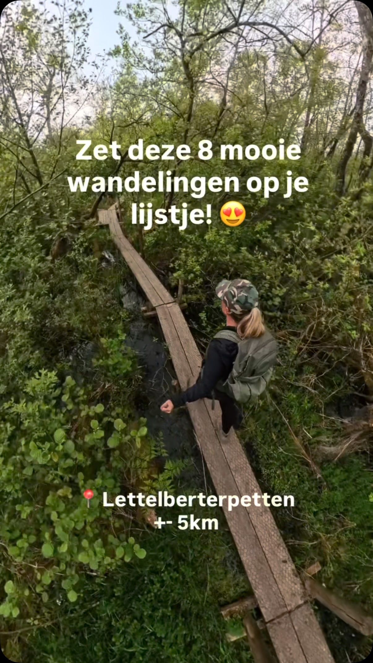 Dutch Nature Trails: Marshes to Forests