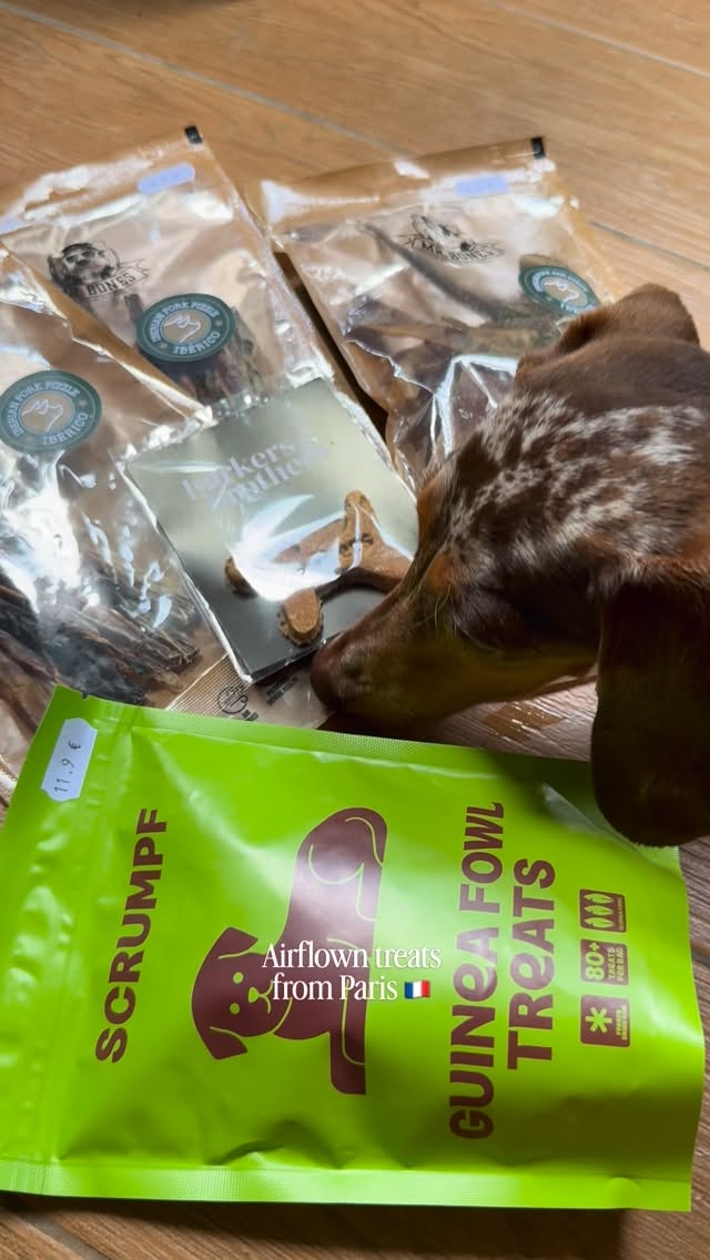 Paris Dog Boutique Offers Treats, Toys, and Cafe
