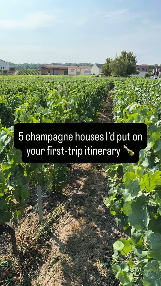 Six Champagne Houses To Visit