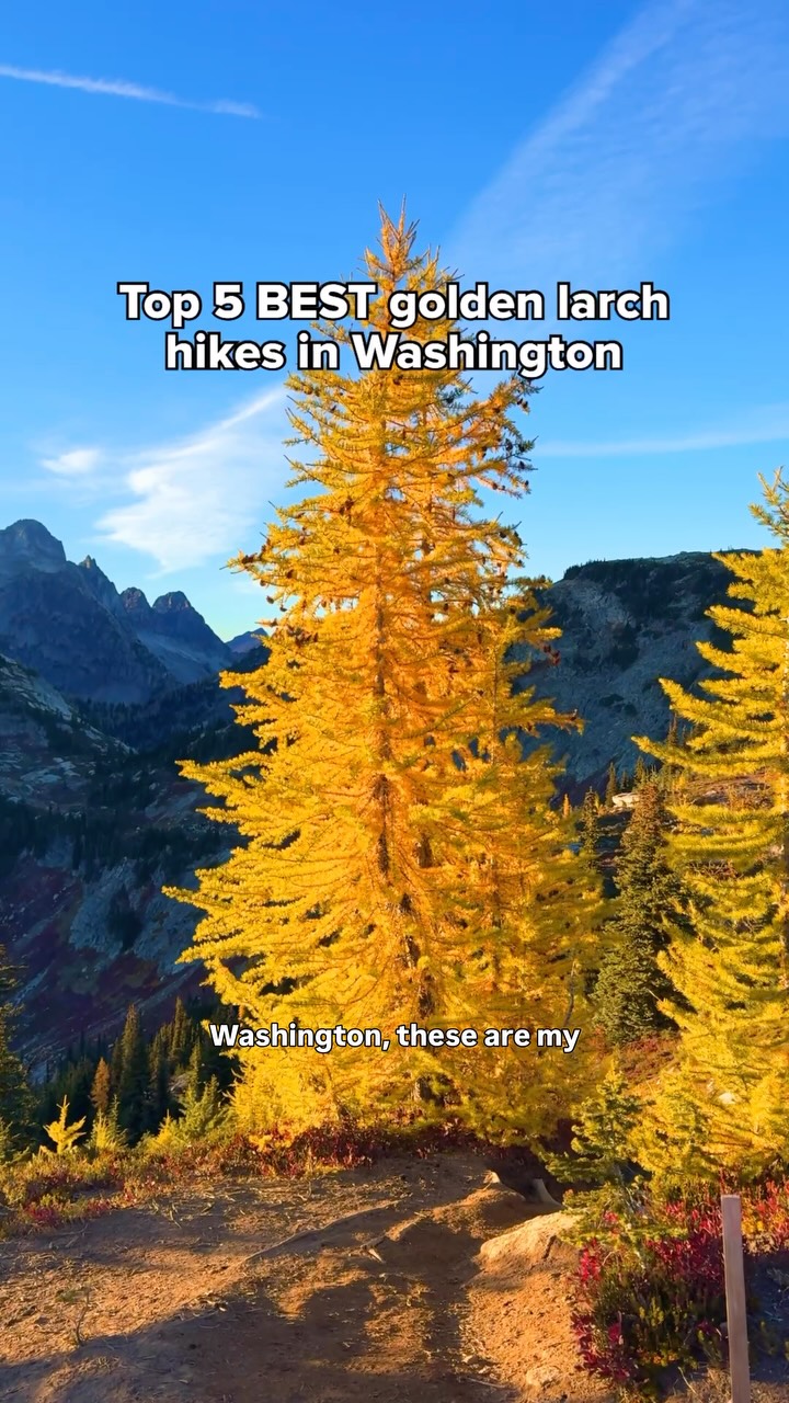 5 Attractions in Washington