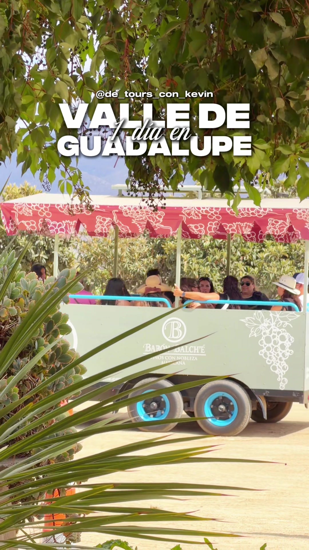 Valle De Guadalupe Day Trip: Lobster And Wine
