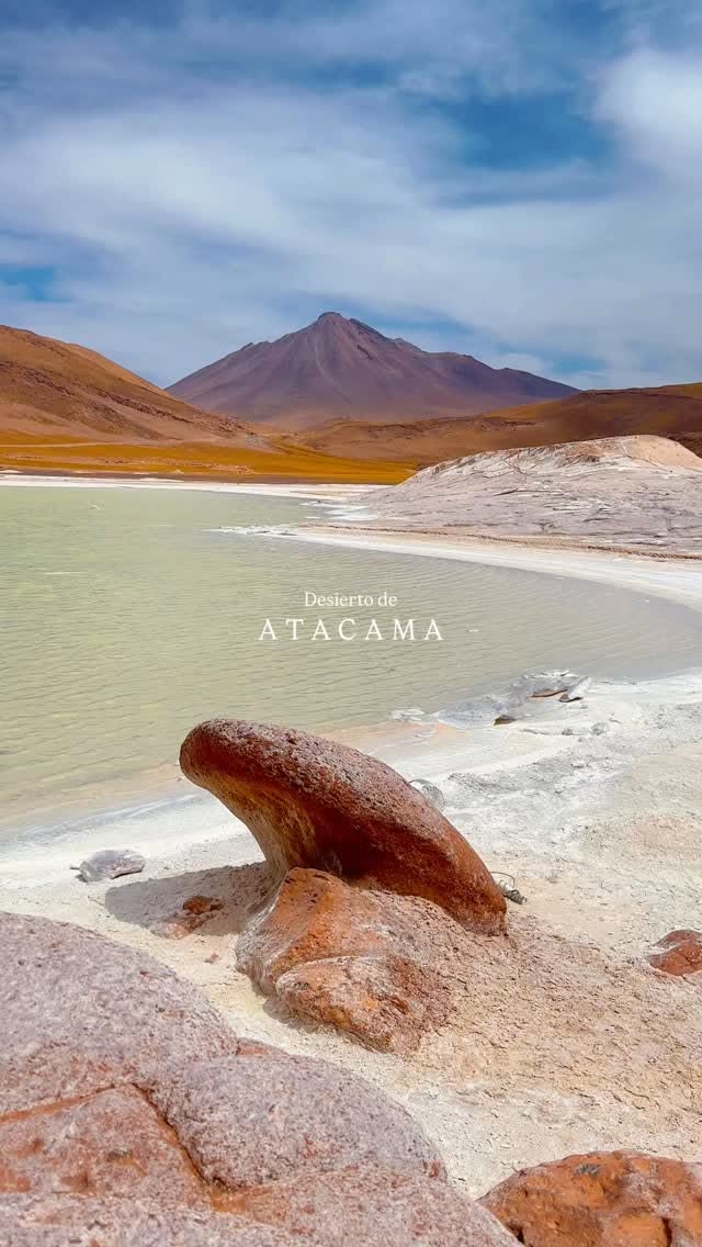 Chilean Desert and Salt Lagoon Wonders