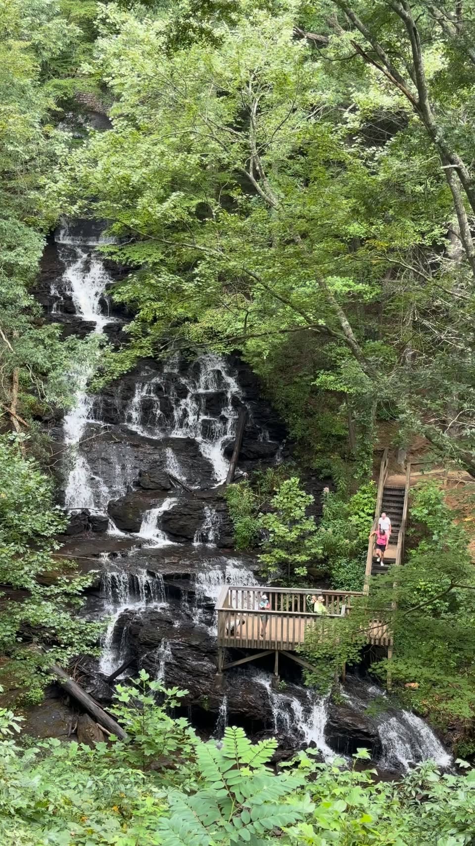 Vogel State Park Features Trahlyta Falls