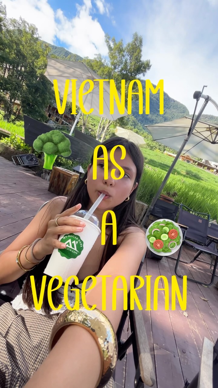 Hanoi Vegetarian Buffet Offers Extensive Variety