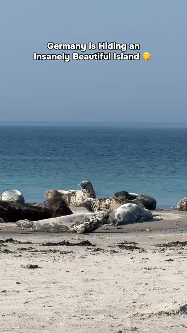 German Island Nature and History Exploration