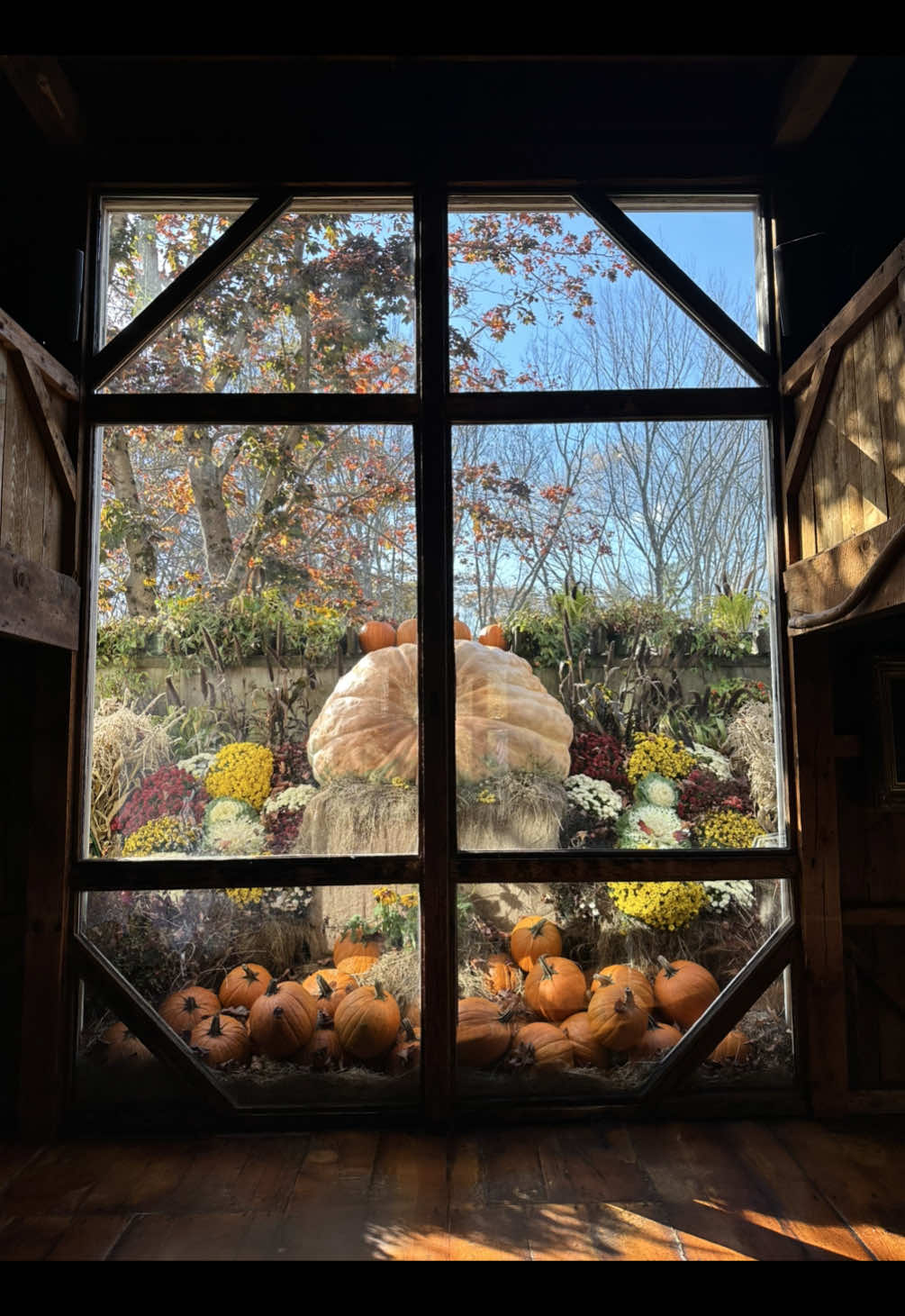 White Barn Inn Autumnal Charm