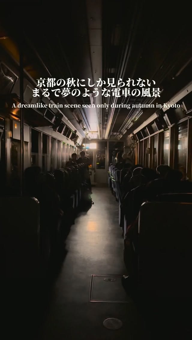 Kyoto's Autumn Maple Tunnel Train Ride