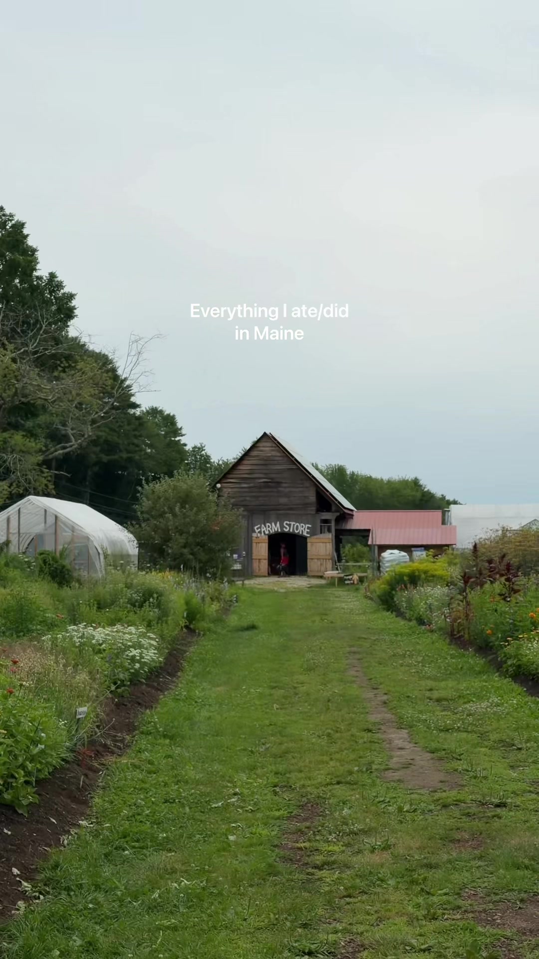 Maine Destinations: Luxury Stays and Delicious Eats