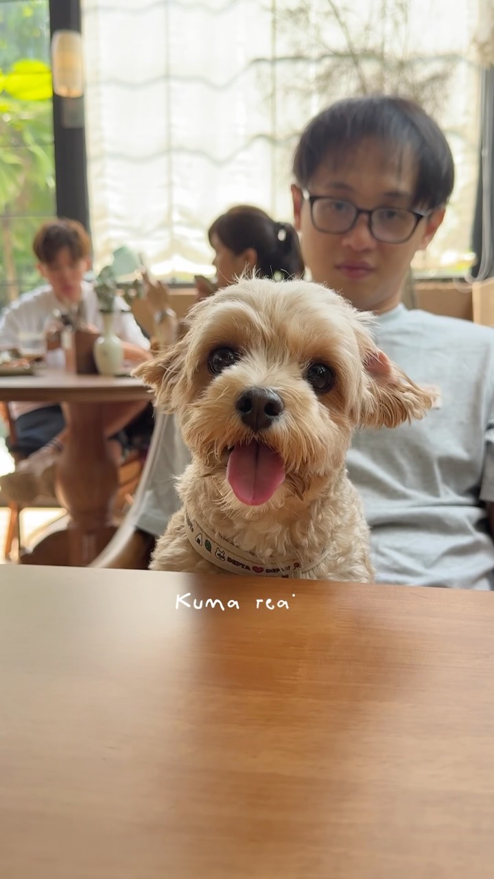 Singapore Gardens Cafe Welcomes Dogs