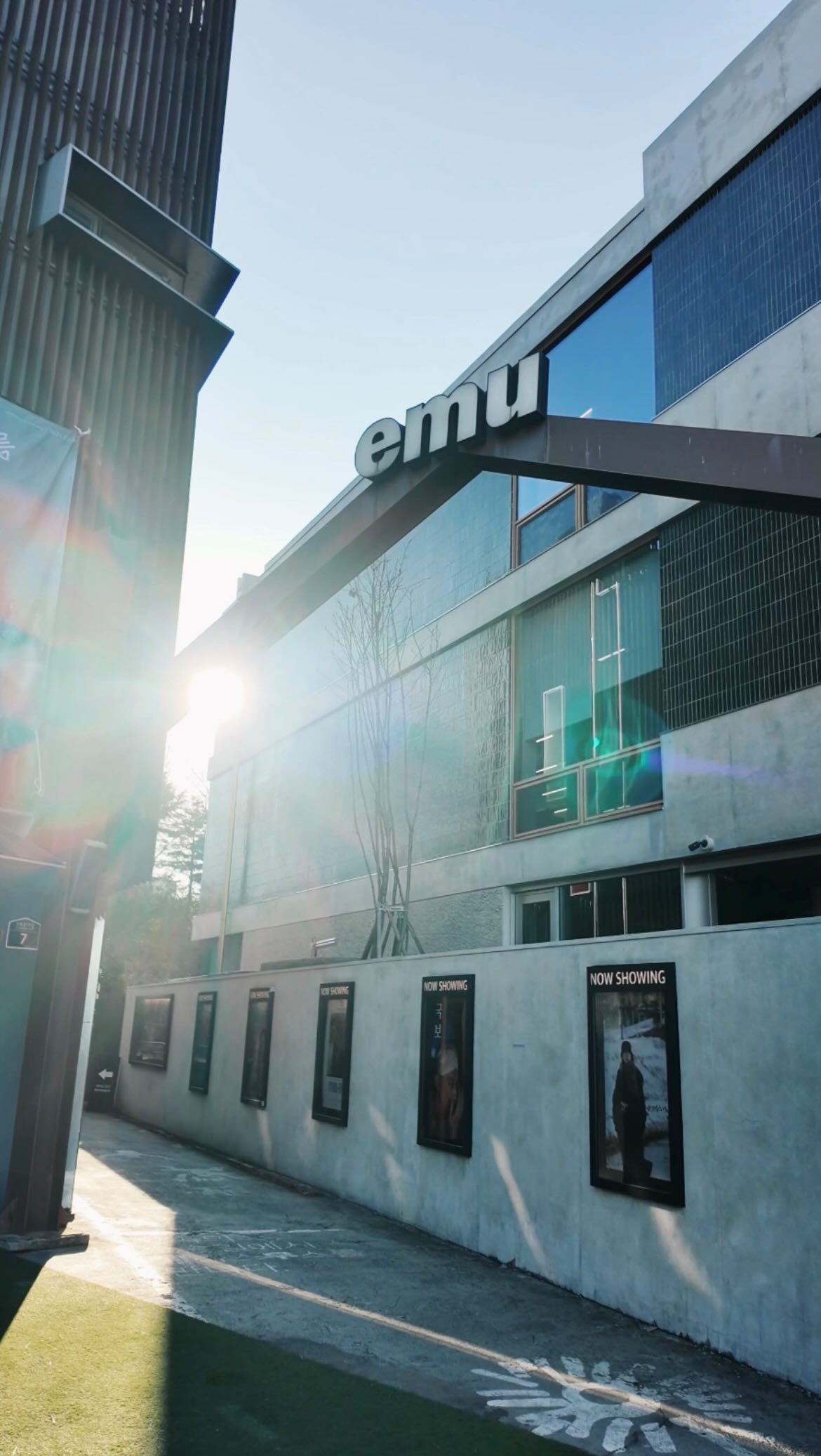 Emu Cinema: Arthouse Films, Cafe, and Books