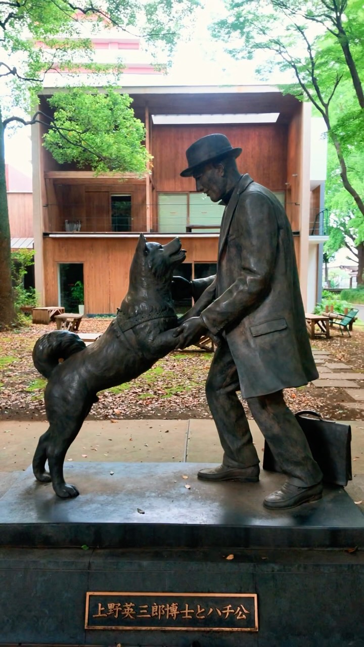 Two Hachikō Statues in Tokyo