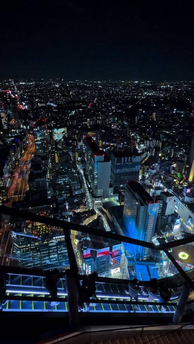 Tokyo's Bustling Districts And Illuminated Station