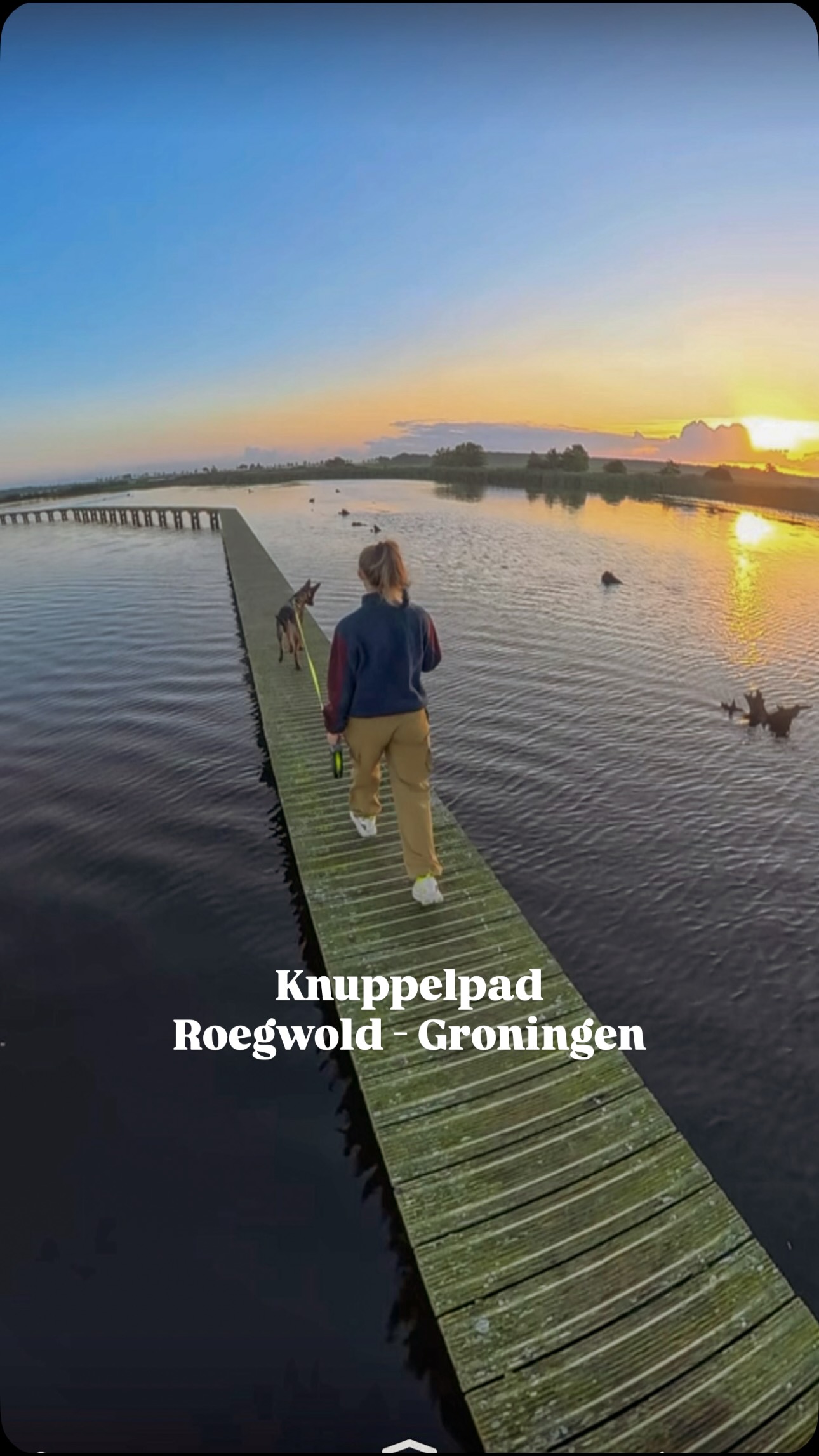 Boardwalk and Marshland Views Near Schildwolde