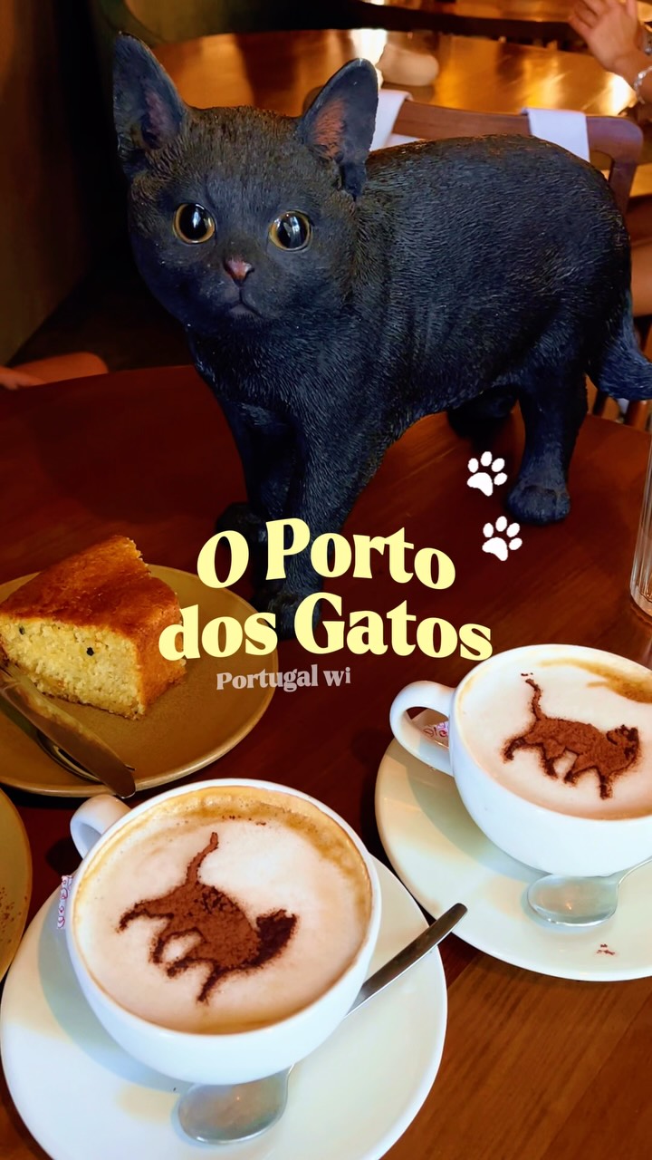 Porto Cat Cafe Offers Vegan Treats and Adoptable Felines