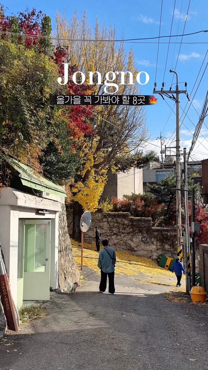 Seoul's Top 9 Autumn Destinations