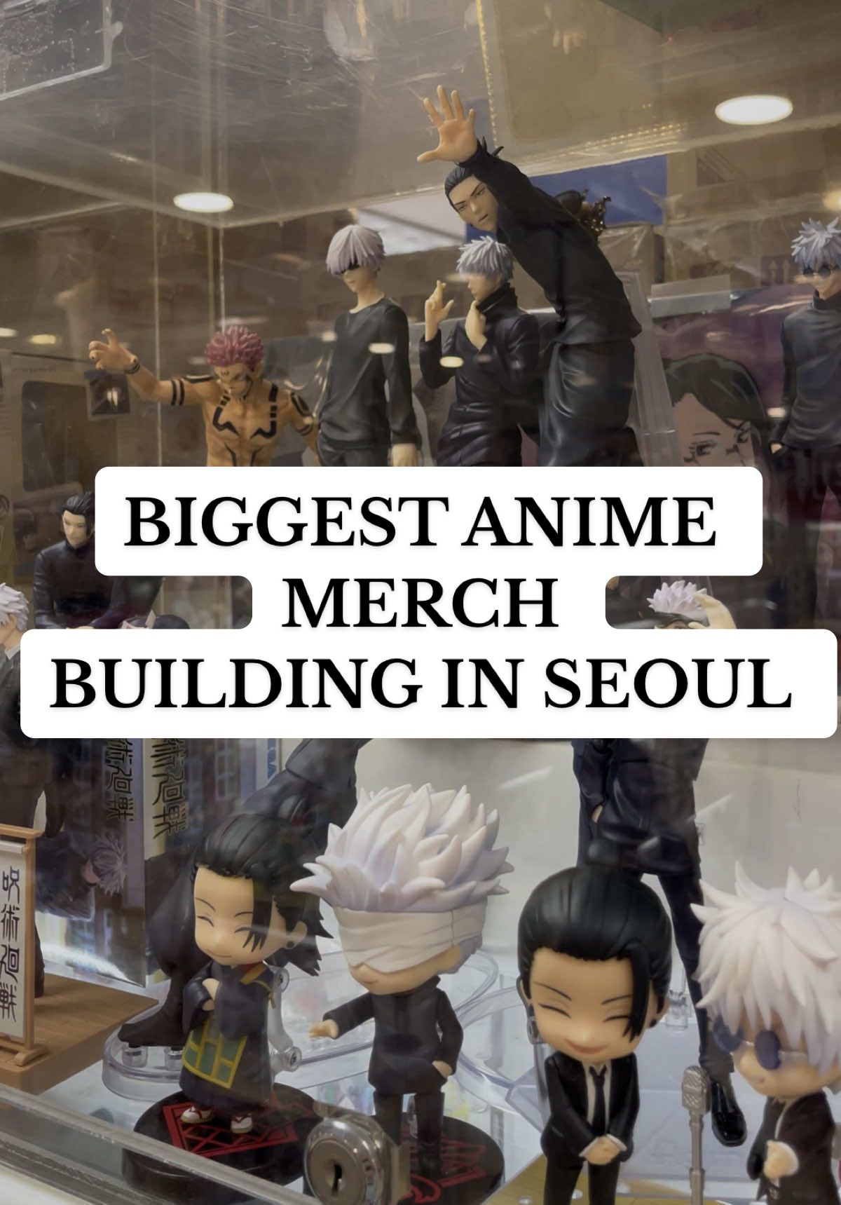 Seoul's Anime Hubs and Eateries