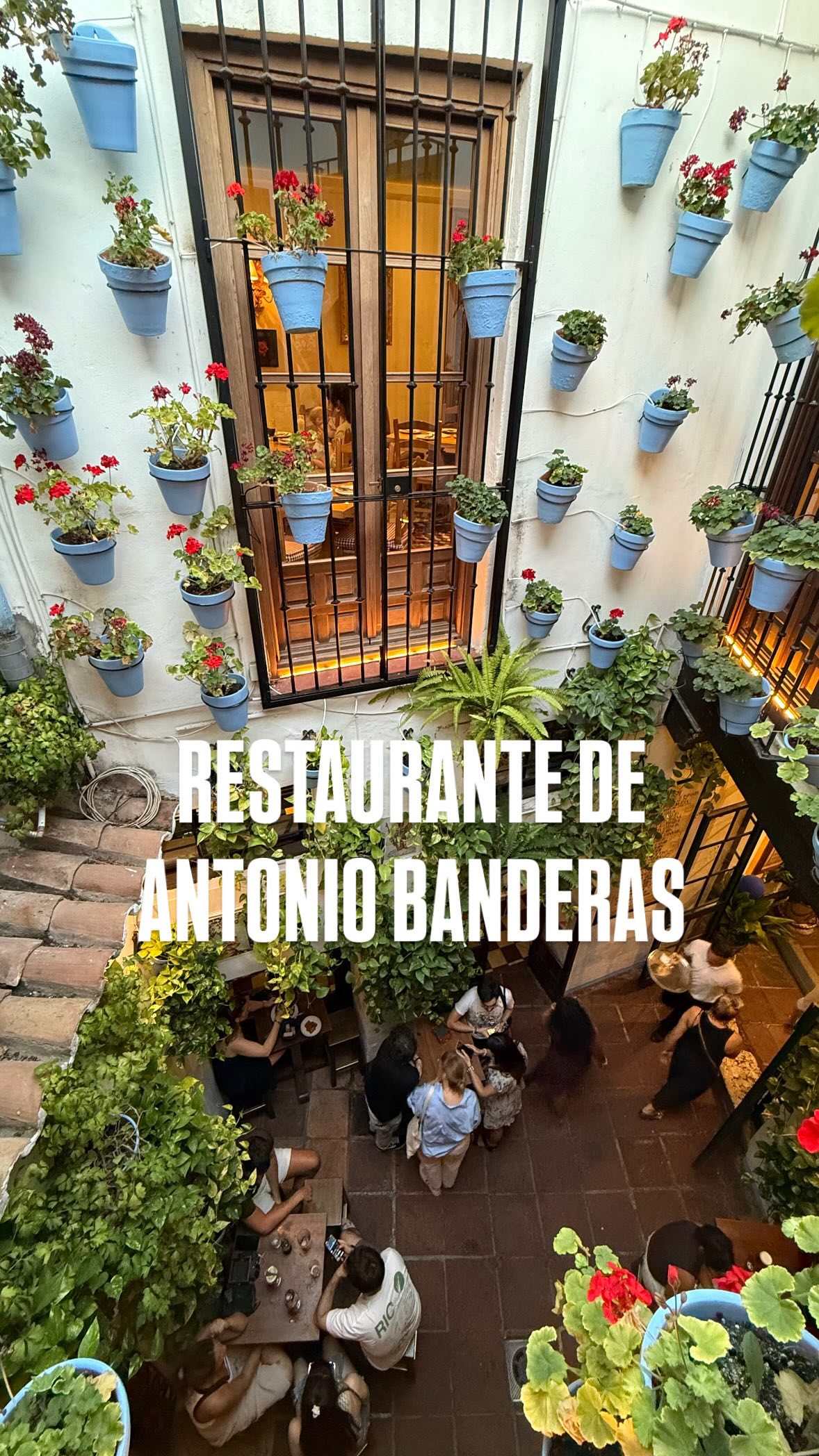 El Pimpi: A Taste of Andalusian Tradition