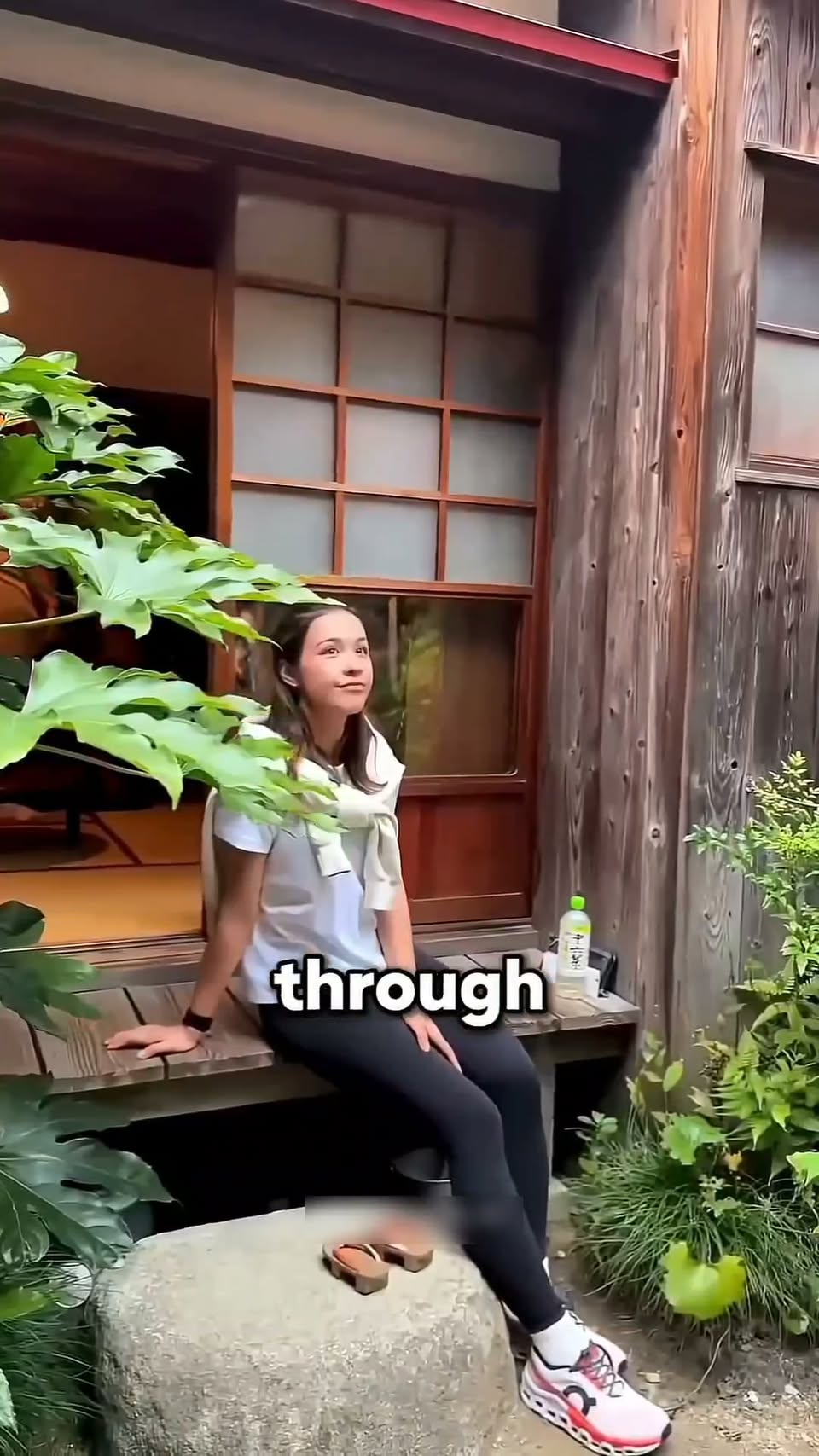 Tokyo Attractions and Ghibli Park