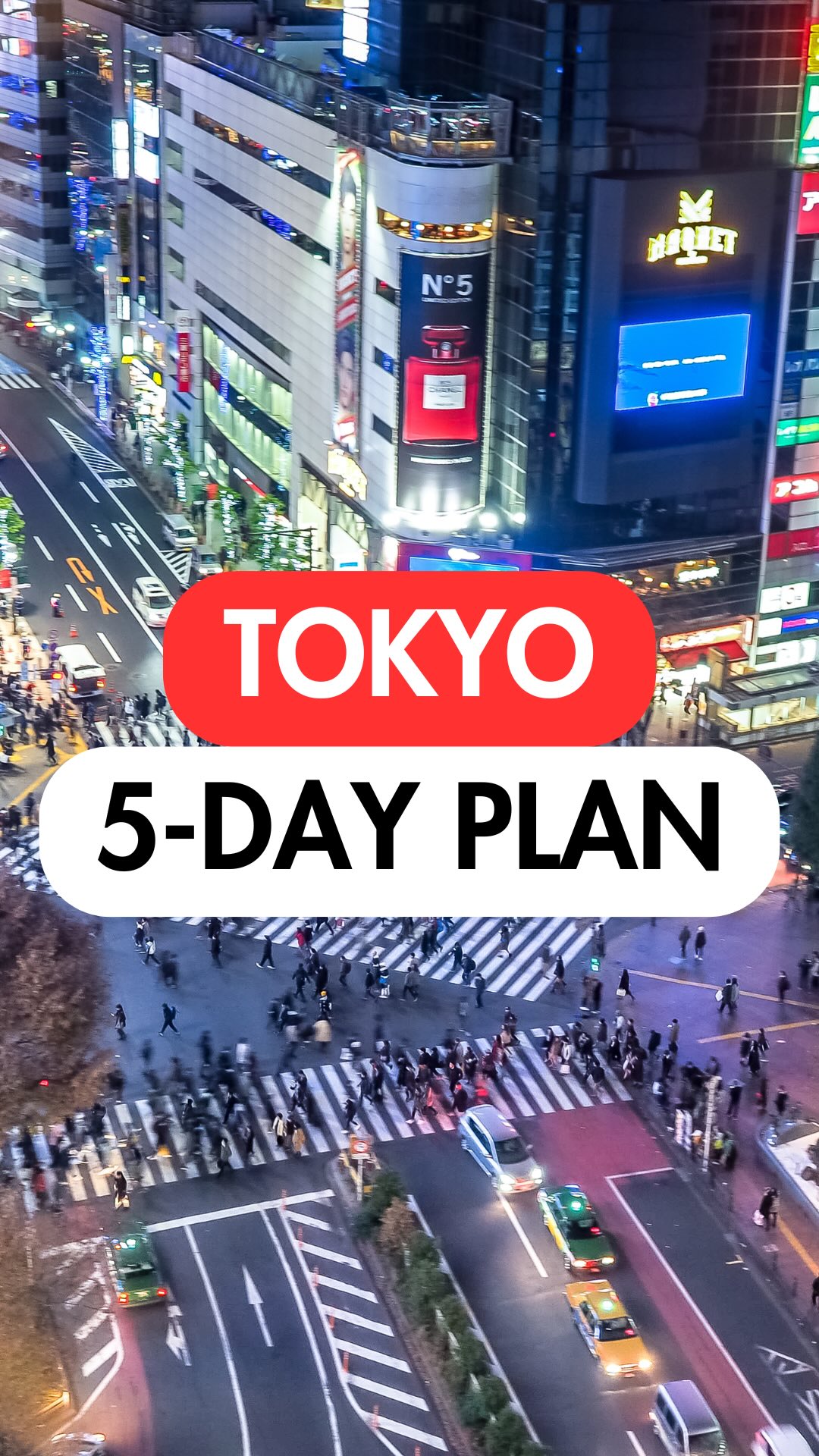 Tokyo First-Timer's Guide To Popular Attractions