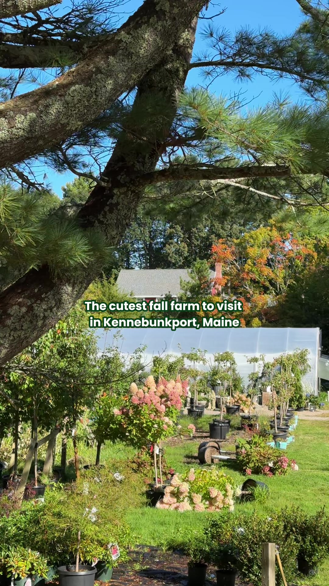 Snug Harbor Farm Escape