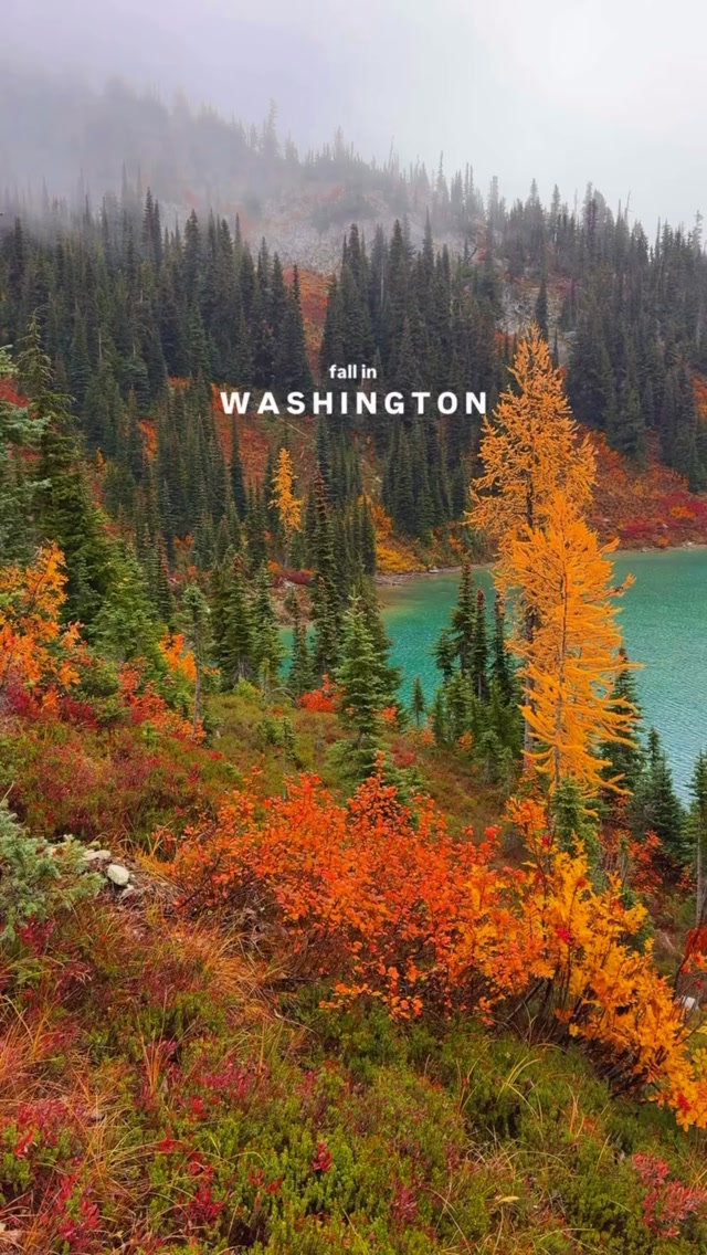 Washington Hikes Displaying Golden Larch Fall Colors