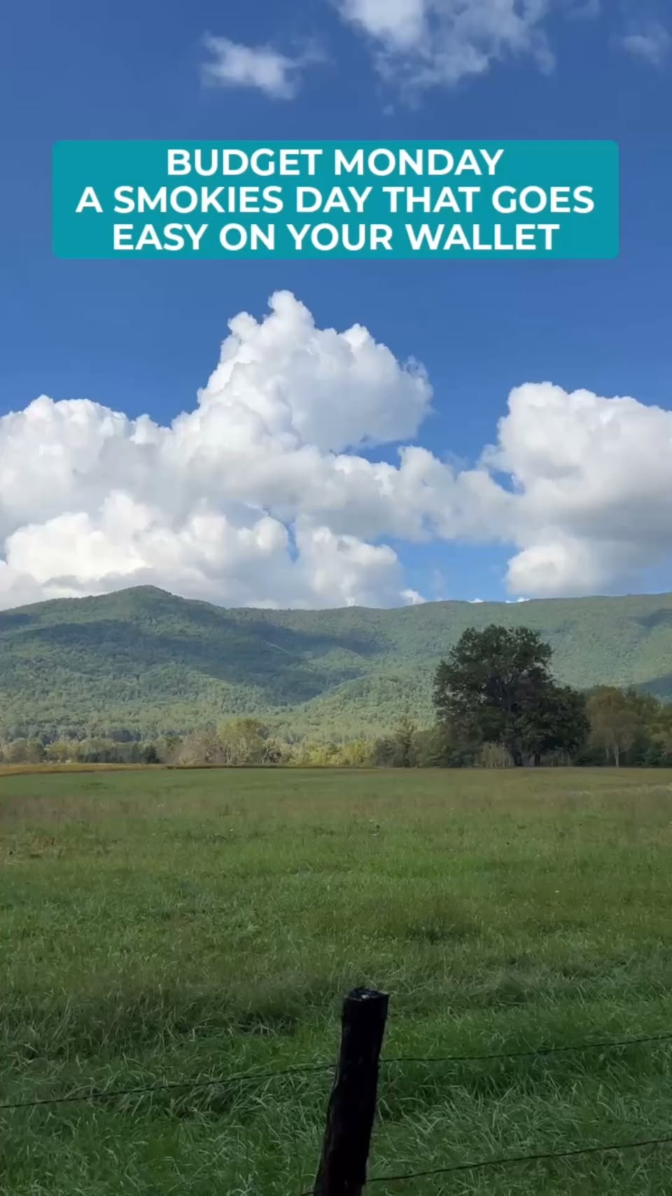 Affordable Smoky Mountains Day Trip