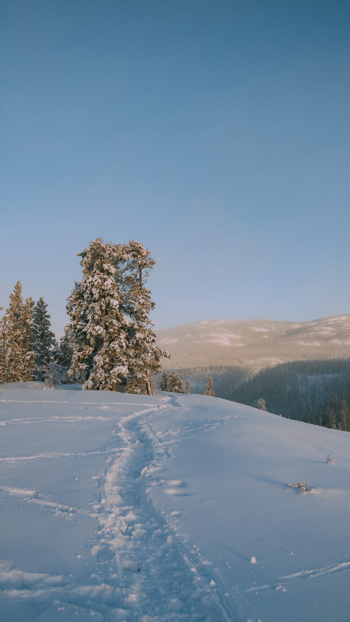 Winter Wonders in Canada's Yukon