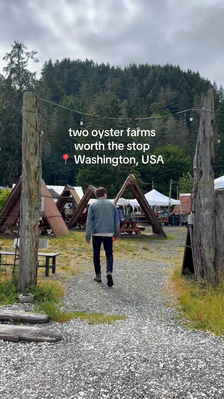 Washington Oysters And Waterfront Road Trip Delights