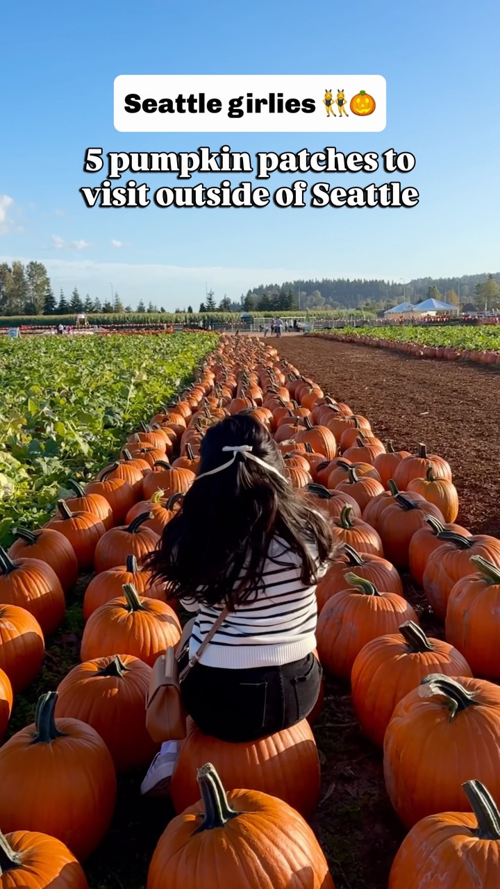 Greater Seattle's Top 5 Pumpkin Patches