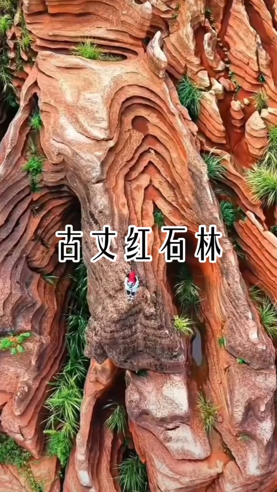 Ancient Seabed Stone Forest Found in China