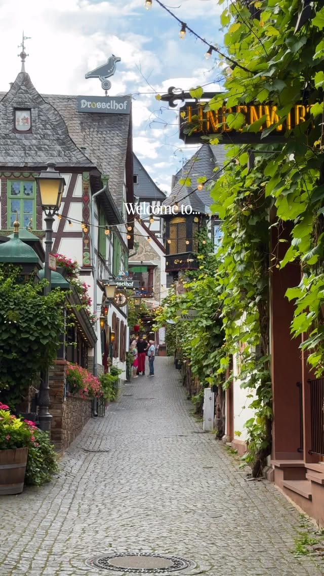 Charming Streets and Vineyards of Rüdesheim am Rhein