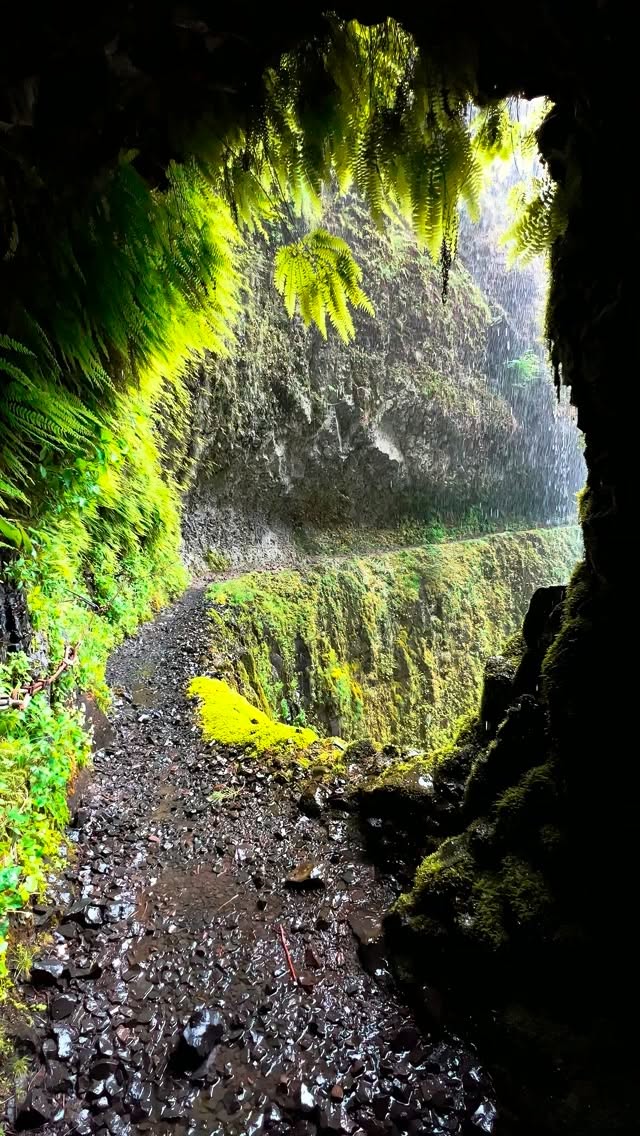Oregon's Tunnel Falls Offers Lush Rainforest Scenery