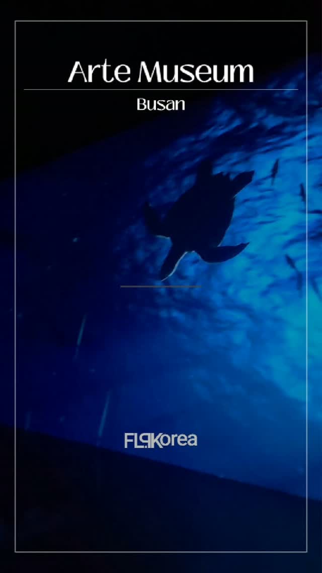 ARTE MUSEUM Busan: Immersive Digital Art Experience
