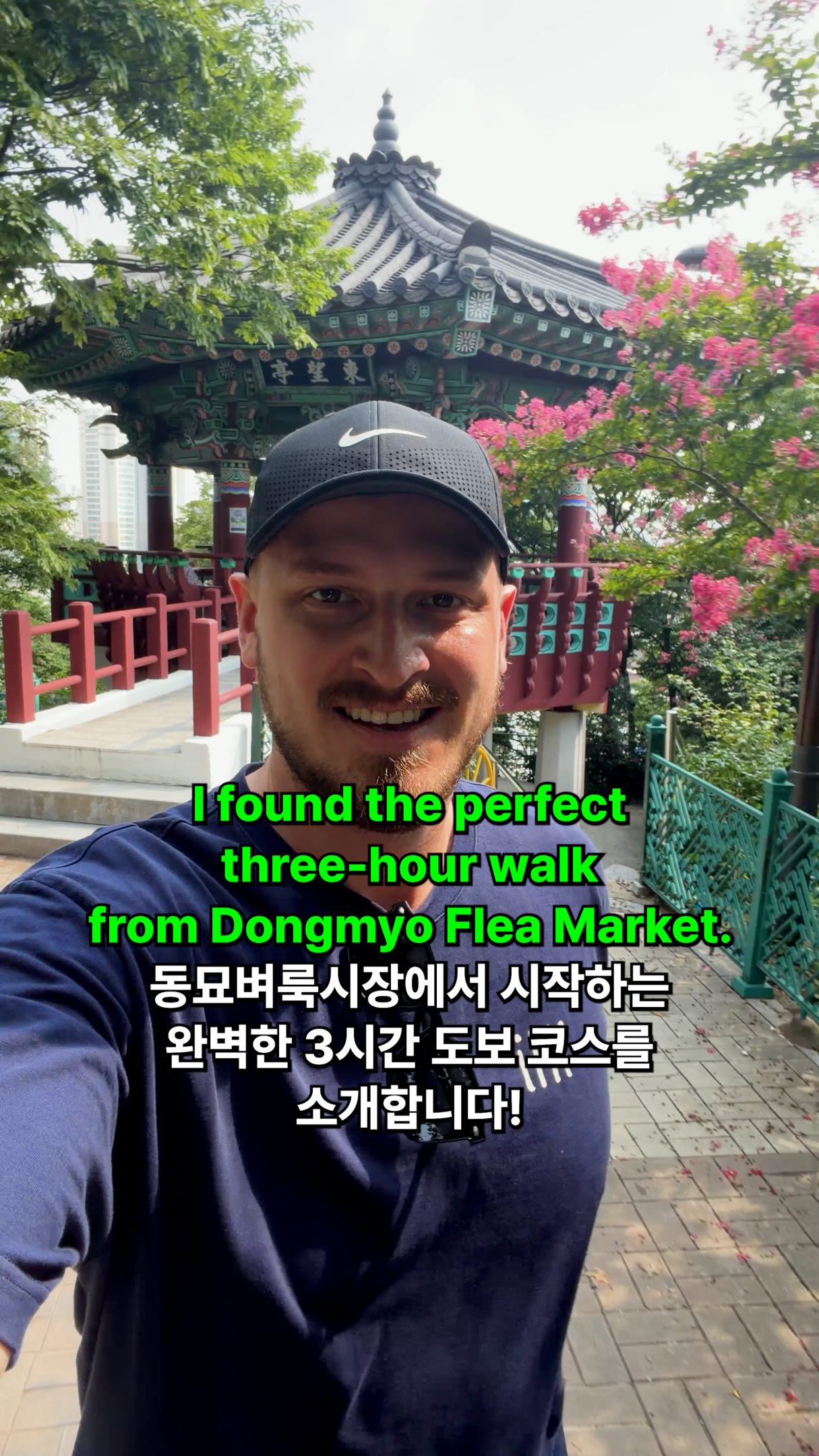 Seoul Walk: History, Temples, Views, and Food