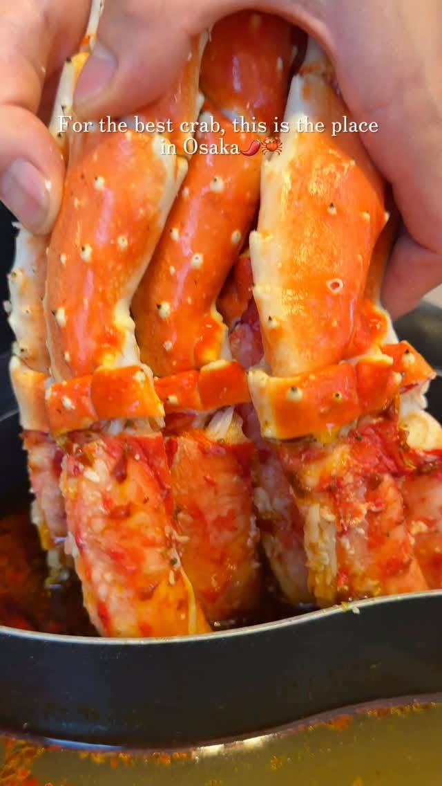 All-You-Can-Eat Wagyu & Seafood in Dotonbori