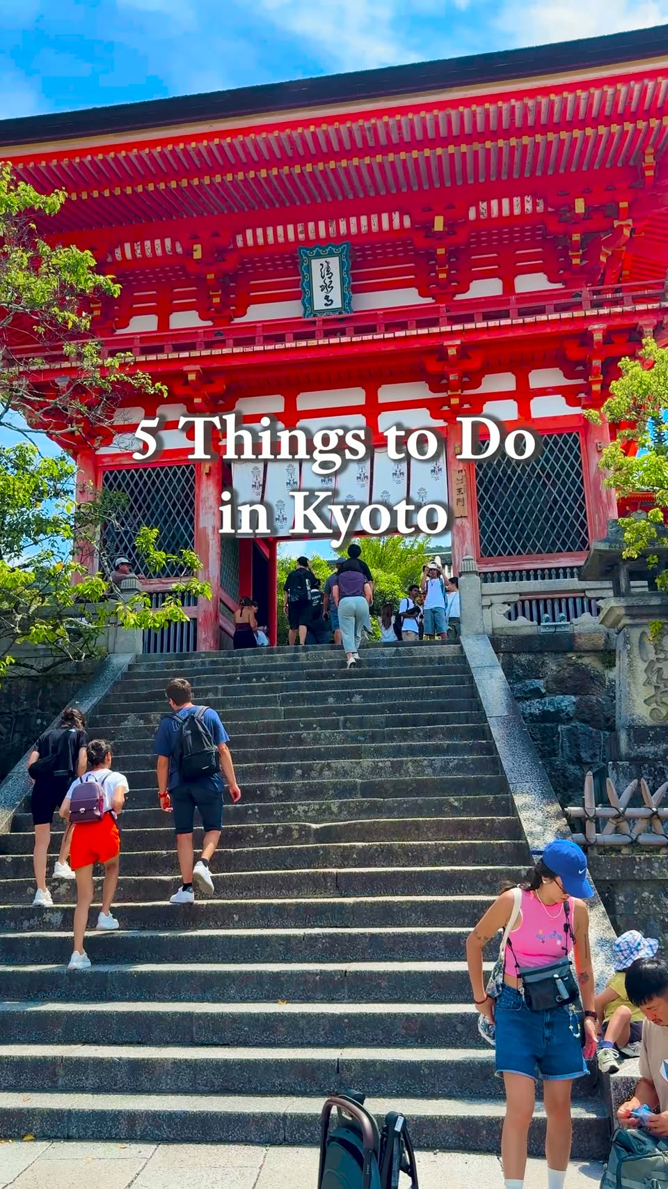 Kyoto's Top Attractions: From Temples to Nintendo