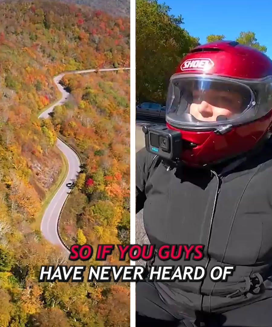 Scenic Routes and Natural Wonders For Road Trips