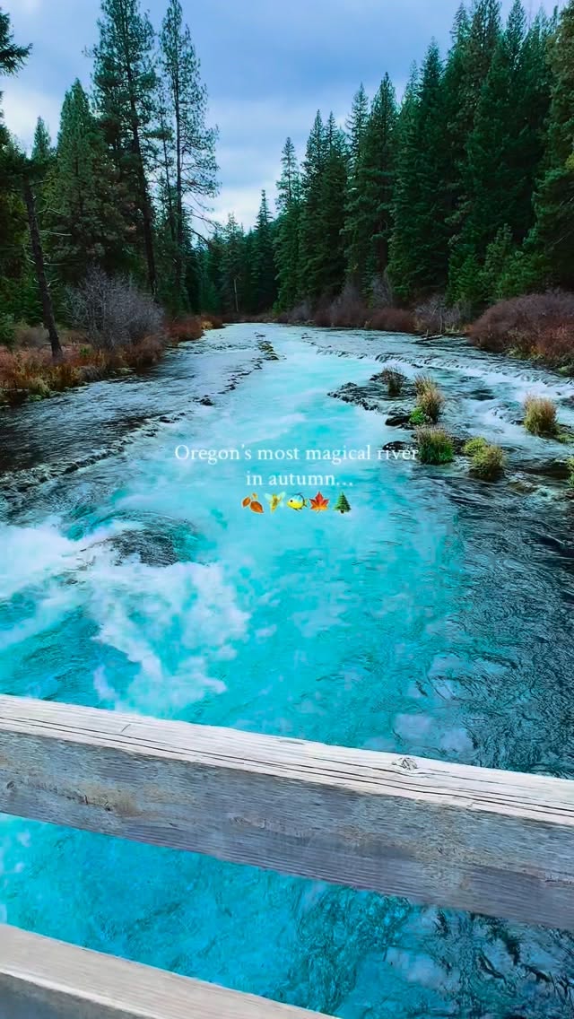 Oregon's Metolius River Autumn Beauty