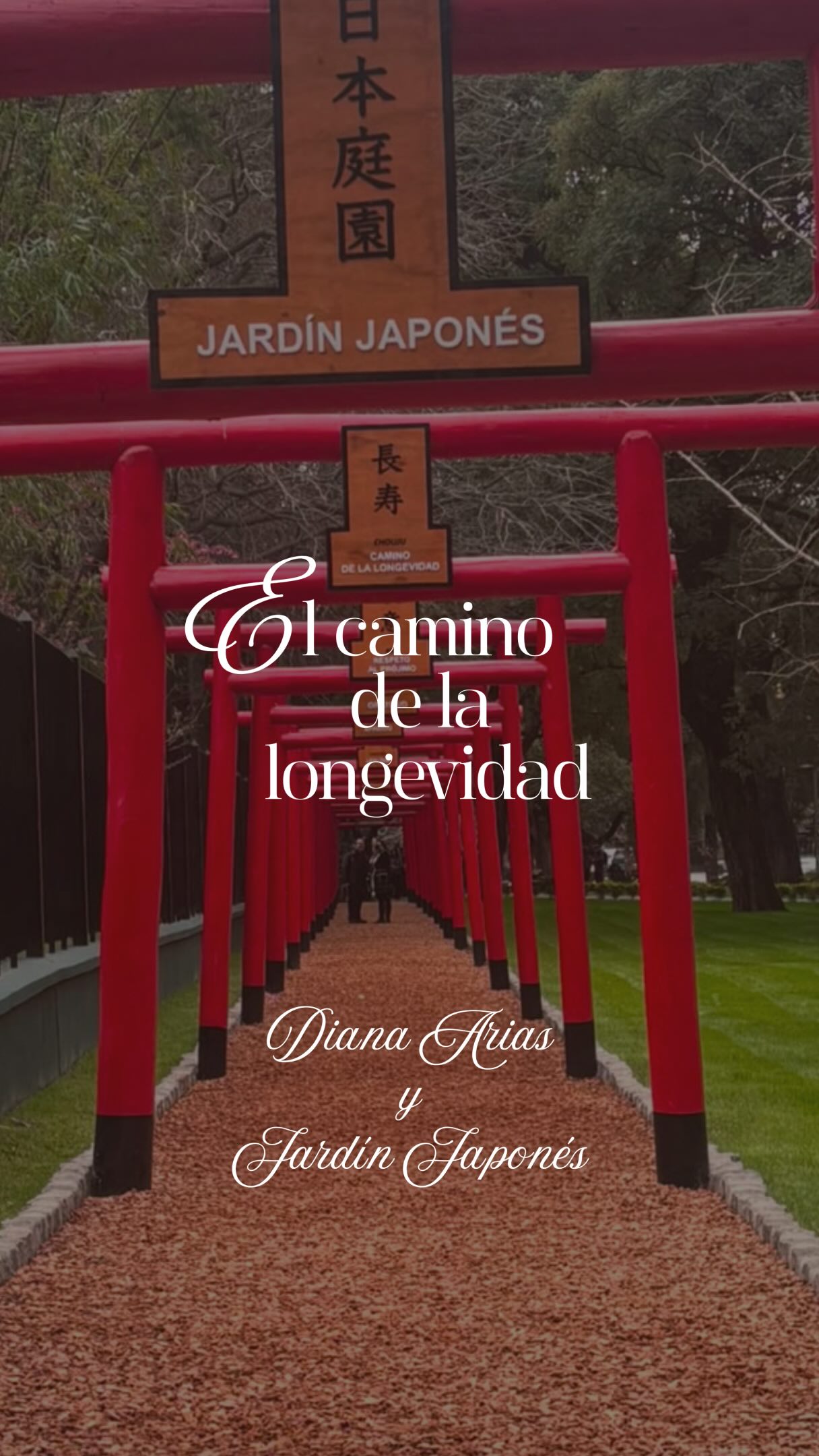 Japanese Gardens In Buenos Aires And Kyoto