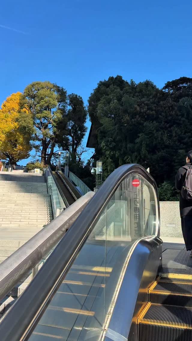 Akasaka Tokyo Day: Shrine, Sushi, Ramen, and More
