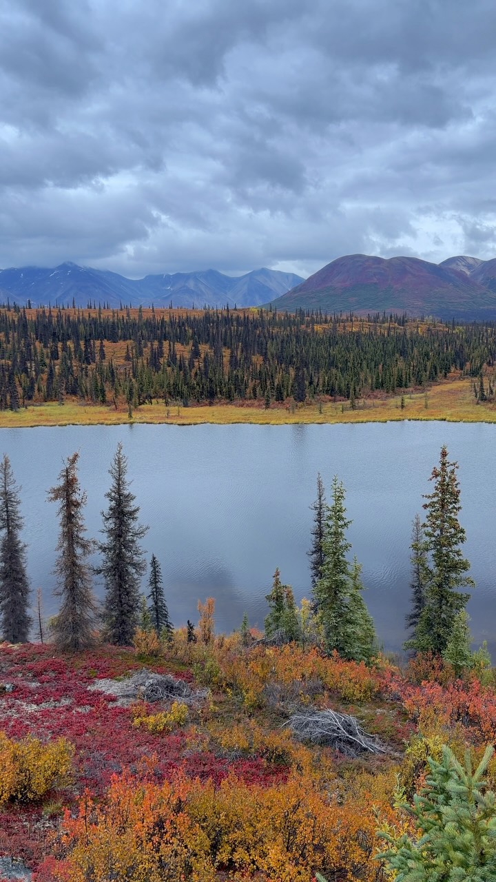 Denali Highway: Remote Alaskan Wilderness
