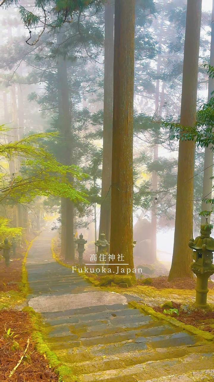Fukuoka's Top Five Shrines Offer Scenic Beauty